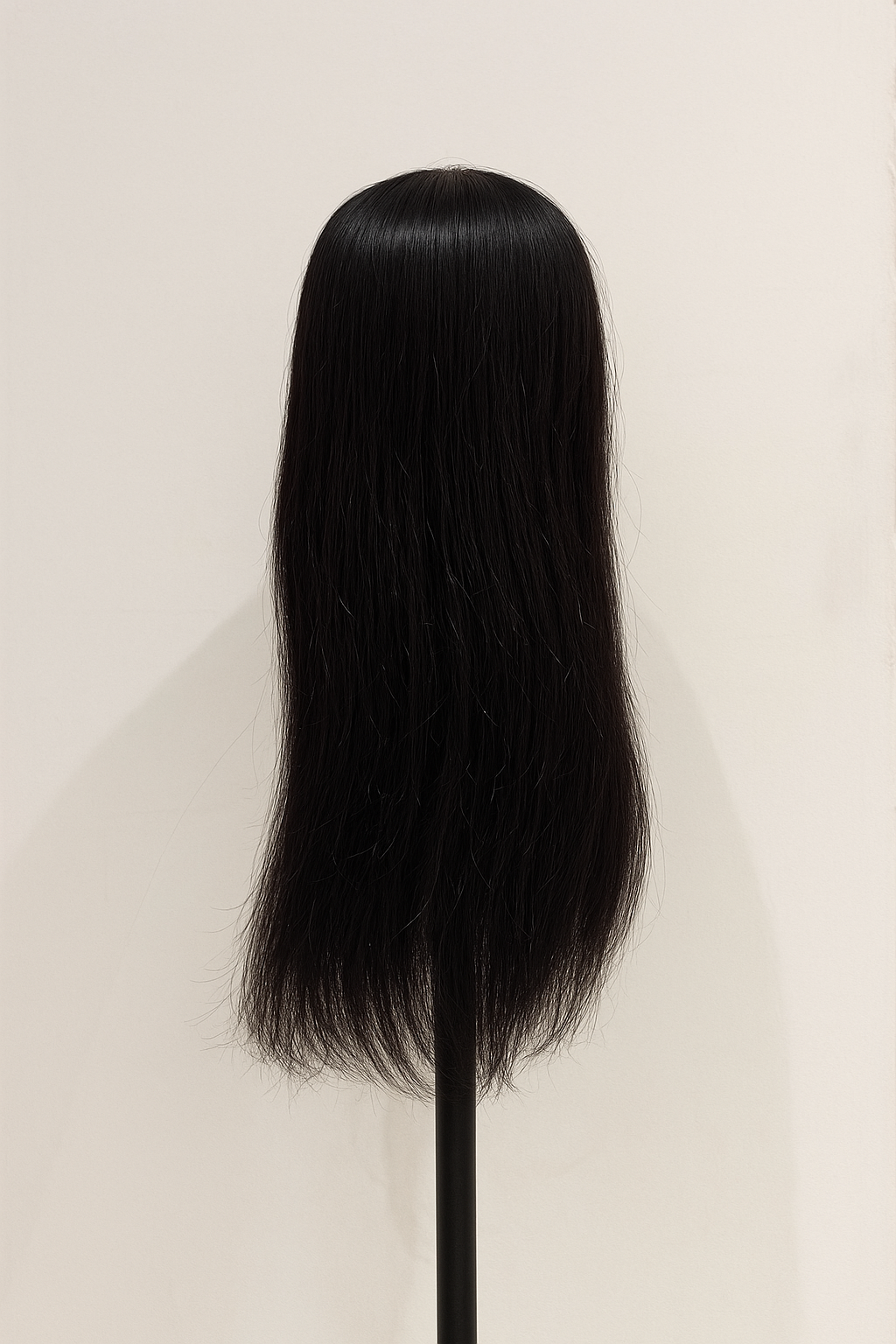 Closure Wig 5x5 - NB# Color | 24" | TS Lace | Straight Texture